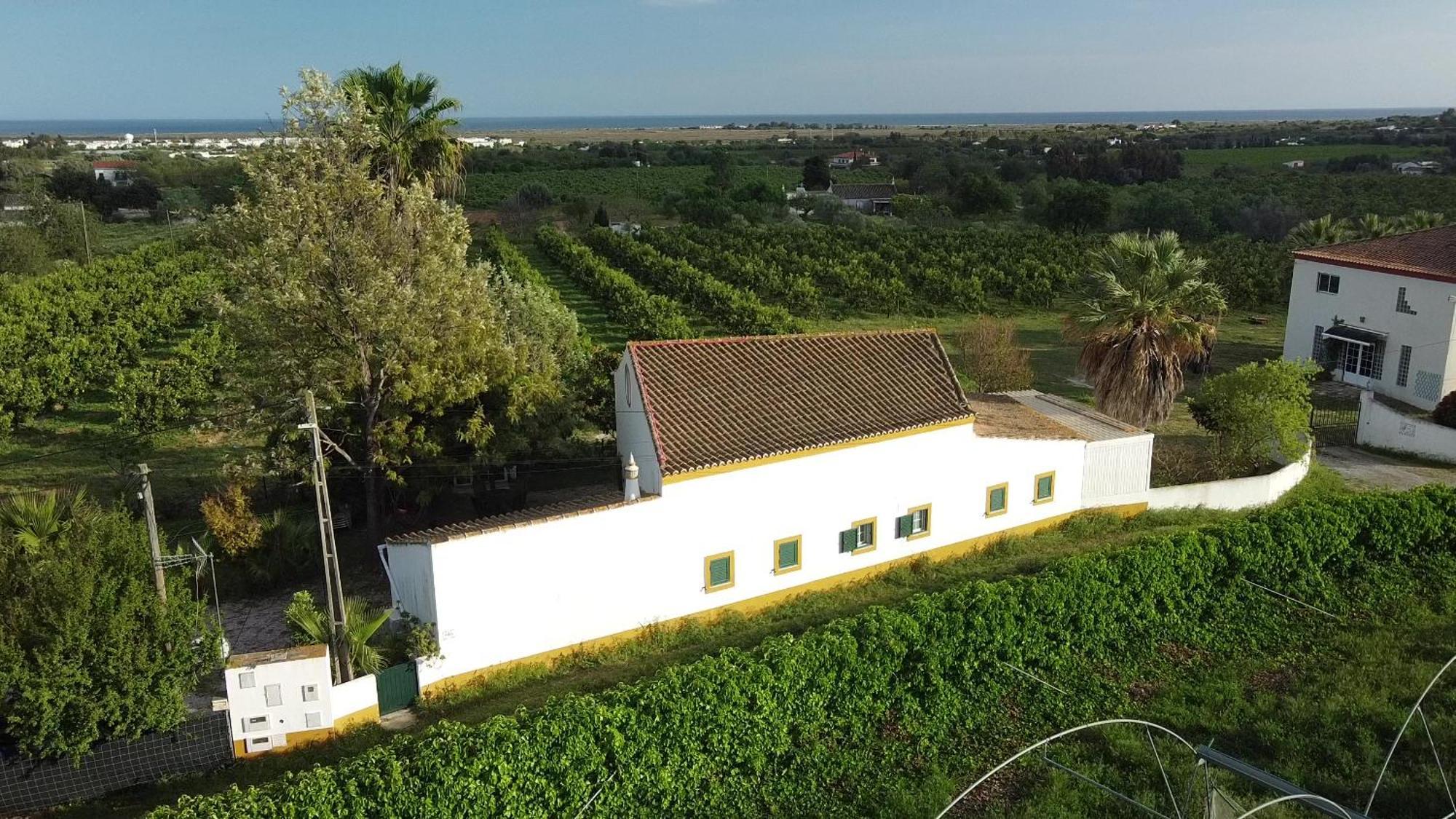 Quinta Rosa Branca Hotel Tavira Luaran gambar